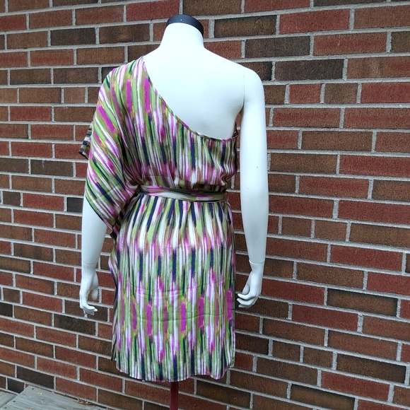 Charlie Jade Silk One Shoulder Drape Dress - Picture 5 of 10